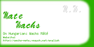 mate wachs business card